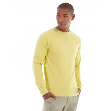 Frankie  Sweatshirt-S-Yellow